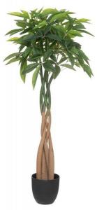 Декоративное растение Atmosphera Créateur d'intérieur Pachira-Baum BOTA, зеленый