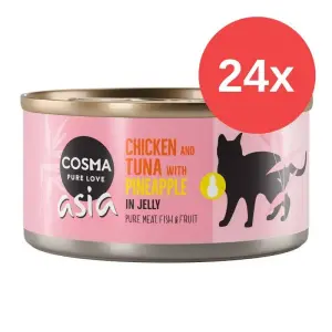 Влажный корм для кошек 3 разных вкуса с фруктами Cosma, 24 х 170 г