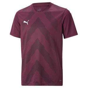 Футболка Puma Kids' Jerseys teamGLORY Jersey Jr 705309