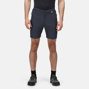 Мужские шорты Regatta, цвет gris cemento/black