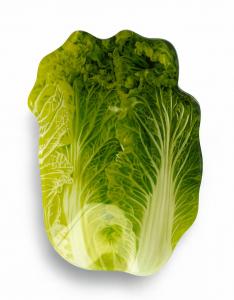 Сервировочное блюдо Aria Fresh Green, 13х17х1 см, стекло Mondex, зеленый