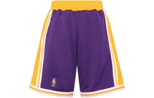 Мужские баскетбольные шорты Mitchell & Ness Purple Box