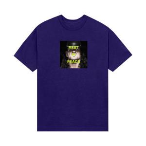 Футболка Anti Social Social Club x WWE You Will Rest In Peace Tee, Purple