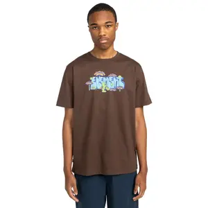 Футболка мужская Walkin Element, коричневый