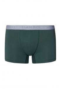 Хлопковые брюки Essentials 2 пары пояс с логотипом Hanro, цвет 3022 herbal tea