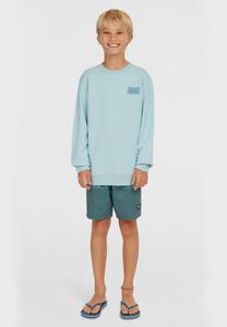 Толстовка LOGO CREW O'Neill, синий