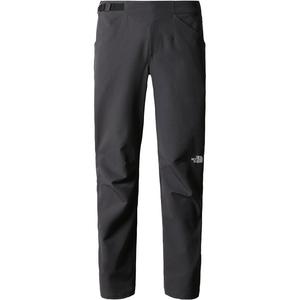 Брюки m ao winter reg tapered pant The North Face, серый