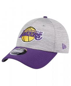 Мужская кепка Los Angeles Lakers Active Digi-Tech Two-Tone 9FORTY Adjustable, серо-лиловая New Era