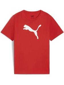 Футболка TeamRISE Logo Jersey Cotton Jr красного цвета Puma