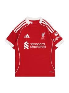 Футболка Performance ADIDAS PERFORMANCE FC Liverpool 25-26 Heim, красный