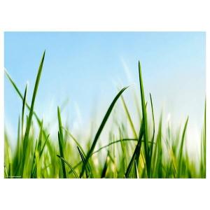 Подставка для столовых приборов «лезвия травы и неба» (набор из 12 шт.) Tischsetmacher, мультколор