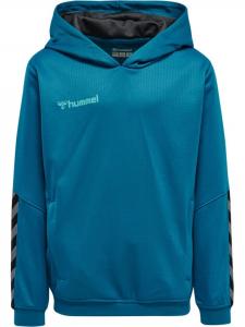 Худи Hummel Poly Hmlauthentic Multisport Kinder, цвет celestial