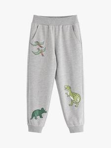 Детские джоггеры из хлопковой смеси с принтом динозавров Lindex, Grey Melange