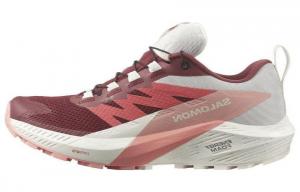 Женские кроссовки Sense Ride 5 GORE-TEX 'Syrah Peach Amber' Salomon