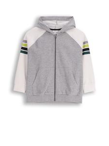 Толстовка Coccodrillo, красочный