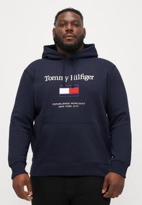 Толстовка Tommy Hilfiger EMBRO FLAG HOODIE, Desert Sky/Dark Blue