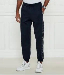 Спортивные штаны regular fit Ea7, темно-синий