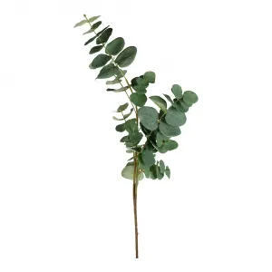 Ветка искусственного эвкалипта El Corte Inglés, зеленый
