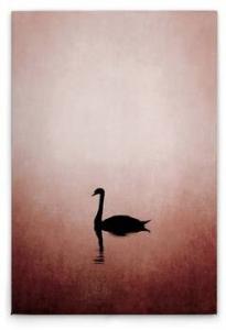 Картина на холсте A.S. Création Swan Lake цвет rosaschwarz