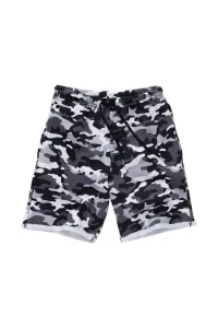 Удлиненные спортивные шорты Bedlam, серый