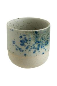 Набор из 6 стаканов Gaia 220 мл Bonna, мультиколор