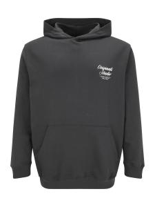 Толстовка Jack & Jones Plus JORNORREBRO, Basalt Grey