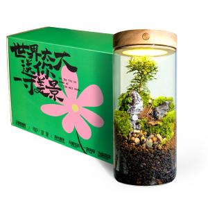 Настольное украшение Qiu Chen