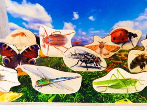 Красочный луг, деревянная головоломка, картографирование, насекомые на лугу, макет луга Inna marka