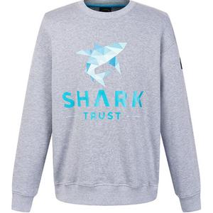 Paul & Shark Яхтенный свитшот мужской серый