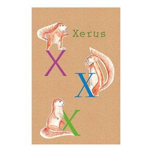 Фреска Komar ABC Animal X, разноцветный