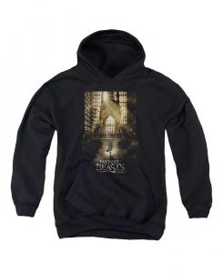 Толстовка с капюшоном и принтом «Молодежный постер» Fantastic Beasts, черный