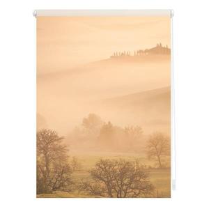 Затемняющие рулонные шторы Lichtblick Toskana, 80x150x6 см цвет orange/braun