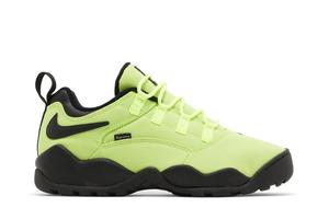 Кроссовки Nike Supreme x Darwin Low SB, зеленый