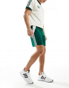 Зеленые шорты adidas Football Tiro 24 adidas