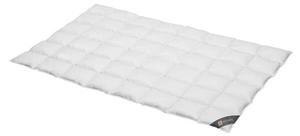 Пуховое одеяло Spessarttraum Bronze, 155x3x220 см, белый