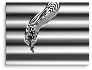 Картина на холсте ArtMind Zebra, многоцветный