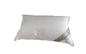 Подушка Hofmann Franken подушка перьевая подушка 40х60 см 15% пух 350г можно стирать Betten Hofmann