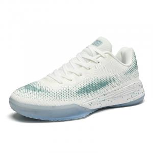 Баскетбольные кроссовки унисекс с низким верхом, белые, синие Iverson