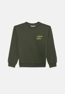 Толстовка Calvin Klein Jeans RELAXED BACK PRINT UNISEX, Thyme/Green