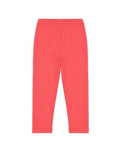 Леггинсы Busy Bees, красный