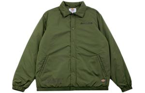 Dickies Куртка мужская зеленая, Green