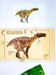 Игуанодон, строение динозавра, три слоя, названия органов. Inna marka