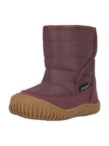 Зимние ботинки Tate в цвете 4261 Huckleberry Zigzag