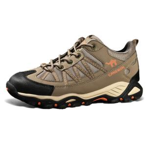 Мужские кроссовки для активного отдыха на открытом воздухе, с низким верхом Pilot The Camel, коричневый