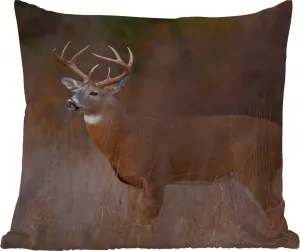 Подушка для улицы - Осень - Олень - Трава - Природа - Животные - 40x40 см - Устойчива к погодным условиям - Подушка для отдыха - Подушка для интерьера - Обивка с изображением MuchoWow
