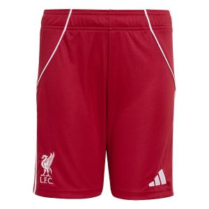 Обычные спортивные штаны ADIDAS PERFORMANCE FC Liverpool FC 25/26, красный