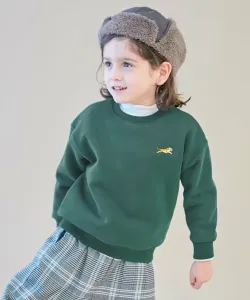 Толстовка Souffle с вышивкой в одну точку и подкладкой из мягкого флиса, верхняя часть толстовки, осень-зима 2025 Devirock, цвет 023-Tiger-D Green