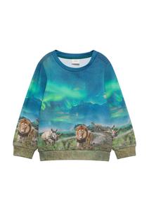 Худи s.Oliver Sweatshirt, цвет blue/aqua