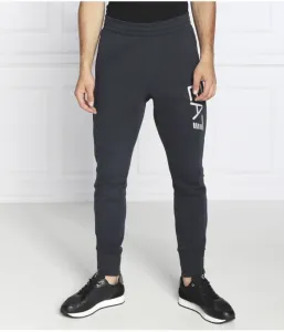 Спортивные штаны regular fit Ea7, темно-синий