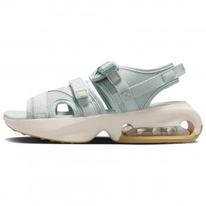 Женские пляжные сандалии Nike Air Max Sol